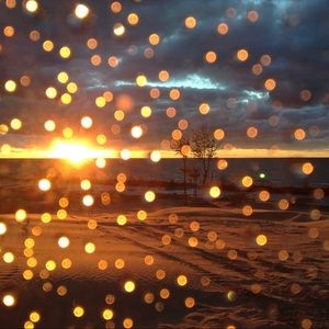 Meet your Posher, Robin